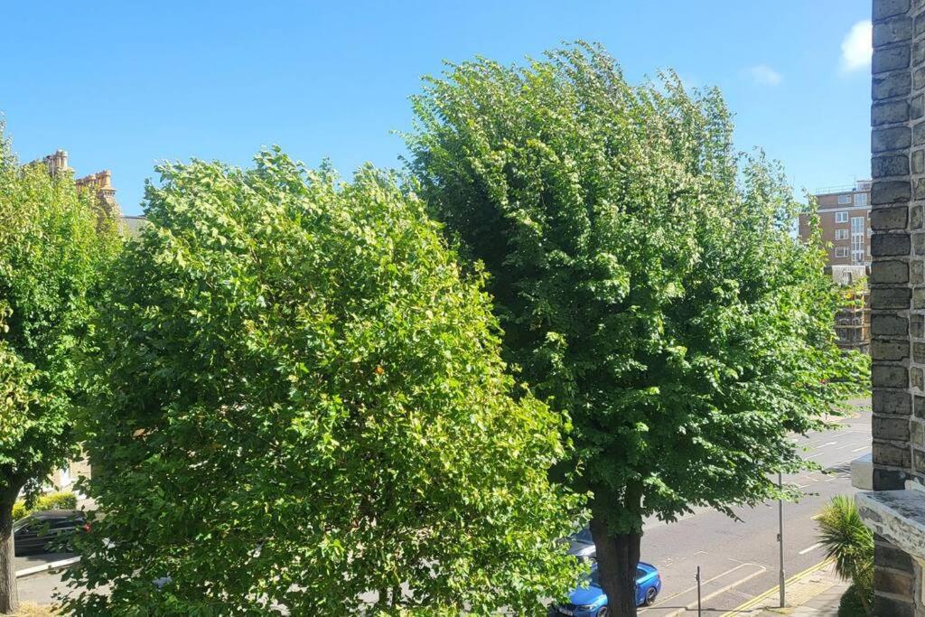 Big Comfy Studio In With Free Onsite Parking 5 Mins From - 10 Mins From *